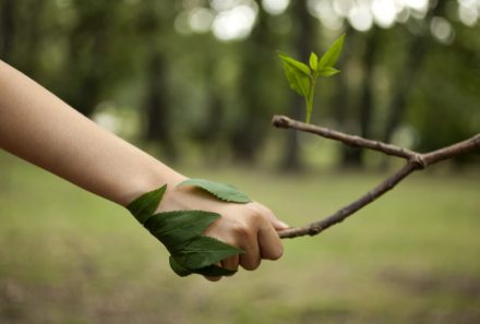 Sostenibilità e cambiamento climatico. Quali gli strumenti che le aziende possono adottare