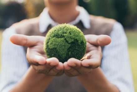 Riforma Costituzionale: Ambiente e Animali