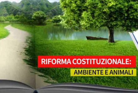 Riforma Costituzionale: Ambiente e Animali
