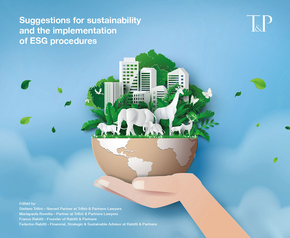 Suggestions for sustainability and the implementation of ESG procedures